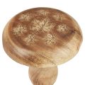 Floristik24 Puinen sienikoristelu sienipuinen koristelu luonnollinen syyskoriste Ø15cm K14,5cm