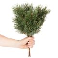 Tekomännyn oksakoriste-kimppu asetelmiin 39cm 6kpl | Floristik24.fi