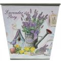 Kasviruukku laventelikuvio, neliömäinen koristeruukku, muovinen kätköruukku K13cm L13,5cm