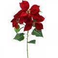 Floristik24 Keinotekoinen joulutähti punainen varsi kukka 3 kukkia 85cm