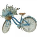 Floristik24 Koristekyltti puu polkupyörä kesä koriste merkki ripustaa sininen, valkoinen 31×25cm