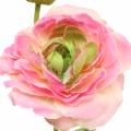 Floristik24 Ranunculus-kukka ja silmu keinotekoinen vaaleanpunainen 34cm