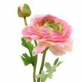 Floristik24 Ranunculus-kukka ja silmu keinotekoinen vaaleanpunainen 34cm