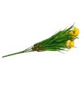 Floristik24 Ranunculus-kimppu ruoholla 35cm keltainen