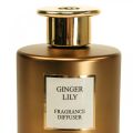 Floristik24 Huoneen tuoksu diffuusori tuoksupuikkoja Ginger Lily 150ml