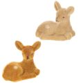 Floristik24 Koristeellinen, makuuasennossa oleva kellanruskea figuuri pöytäkoristeeseen, 8 cm, 6 kpl