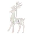 Akryyliset porokoristeet joulukuuseen, 14 cm, 4 kpl | Floristik24.fi