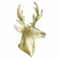 Floristik24 Koristeellinen poron rintakuva kultainen metalli 8cm × 4,8cm 8kpl
