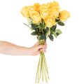 Tekoruusu pitkällä varrella, tekokukka, 62 cm, 12 kpl | Floristik24.fi