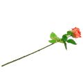 Floristik24 Ruusun keinotekoinen kukalohi 67,5 cm