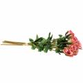 Floristik24 Ruusu vanha ruusu 42cm 12p