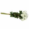 Floristik24 Rose White 42cm 12kpl