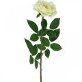 Floristik24 Keinotekoinen ruusu, koristeruusu, silkkikukka kermavalkoinen, vihreä L72cm Ø12cm