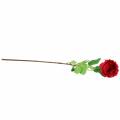 Floristik24 Rose tekokukka punainen 72cm