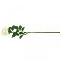 Floristik24 Silkkikukka, ruusu varressa, keinokasvi kermanvalkoinen, pinkki L72cm Ø13cm