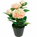 Floristik24 Koristeellinen ruusu ruukussa, romanttiset silkkikukat, vaaleanpunainen pioni