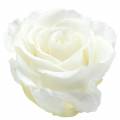 Floristik24 Infinity ruusut isot Ø5,5-6 cm valkoiset 6kpl