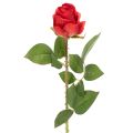 Floristik24 Ruusunoksa silkkikukka keinotekoinen ruusu punainen 72cm 3kpl