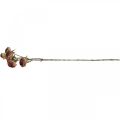 Floristik24 Keinotekoinen ruusu, pöytäkoristeet, tekokukka pinkki, ruusunoksa antiikkilook L53cm