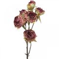 Floristik24 Keinotekoinen ruusu, pöytäkoristeet, tekokukka pinkki, ruusunoksa antiikkilook L53cm