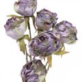 Floristik24 Ruusunoksa Silkkikukkapöytäkoristelu Art Rose Purppura Antiikki L53cm
