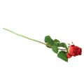 Floristik24 Ruusunoksa silkkikukka Keinotekoinen ruusunpunainen 72cm