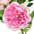 Floristik24 Ruusunoksa silkkiruusut tekooksaruusut pinkki kerma 79cm