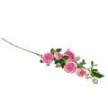 Floristik24 Ruusunoksa silkkiruusut tekooksaruusut pinkki kerma 79cm