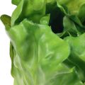 Floristik24 Salaattipään vihreä koristesalaattiruokanuket 14cm