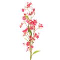 Floristik24 Keinotekoinen kukkiva oksa Oncidium orkideakoriste 112cm 3kpl