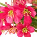 Keinotekoinen kukkiva oksa Oncidium orkideakoriste 112cm 3kpl | Floristik24.fi