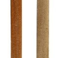 Reed bulb mix luonnon koristeruoko 70cm 100 kpl | Floristik24.fi