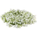 Floristik24 Gypsophila seppele valkoinen kukka seppele häät Ø30cm