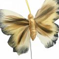 Floristik24 Deco-perhonen, kevätkoristeet, koi lanka ruskea, keltainen, valkoinen 6×9cm 12kpl