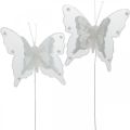 Floristik24 Perhoset helmet ja Glimmer, häät koristelu, Feather Butterfly on Wire White