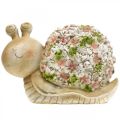 Floristik24 Etana kukkakoristeella, puutarhaeläin, koristeetana, kesäkoristelu ruskea/pinkki/vihreä K13,5cm L19cm