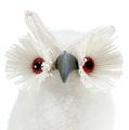 Floristik24 Luminen pöllö valkoinen 18cm