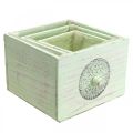 Floristik24 Kasvilaatikko koristeellinen laatikko nuhjuinen vihreä 15-23cm sarja 3