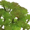 Floristik24 Keinotekoiset kasvit ruukussa Artificial Succulent Green K15cm