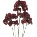 Floristik24 Sedum keinotekoinen punainen kivikasvi syksyn koristelu 70cm 3kpl 3kpl