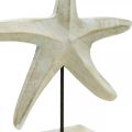 Floristik24 Meritähti puusta, koristeellinen veistos merellinen, merikoriste luonnonvärejä, valkoinen H28cm