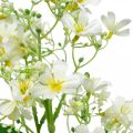 Floristik24 Keinotekoinen silkkikukka, Kukka koristelu, Silkkikukka, Deco kukka valkoinen L72cm