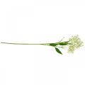 Floristik24 Keinotekoinen silkkikukka, Kukka koristelu, Silkkikukka, Deco kukka valkoinen L72cm