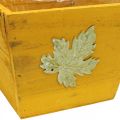 Floristik24 Kasvilaatikko puinen nuhjuinen tyylikäs puulaatikko keltainen 11×14,5×14cm