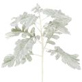 Floristik24 Keinotekoinen Senecio-oksa, hopeanhohtoinen lehti, monimutkaisesti muotoiltu, 45 cm, 3 kpl