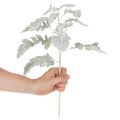 Keinotekoinen Senecio-oksa, hopeanhohtoinen lehti, monimutkaisesti muotoiltu, 45 cm, 3 kpl | Floristik24.fi