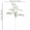 Keinotekoinen Senecio-oksa, hopeanhohtoinen lehti, monimutkaisesti muotoiltu, 45 cm, 3 kpl | Floristik24.fi