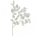 Floristik24 Deco Branch Silver Leaf White Lunaria Branch keinotekoinen oksa 70cm