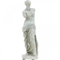 Floristik24 Venus-patsas koristeveistos H29cm harmaanruskea koristefiguuripuutarha
