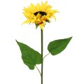 Floristik24 Pitkävartinen auringonkukan keltainen 53cm